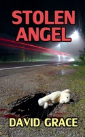 Stolen Angel 1508638276 Book Cover