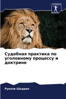 Судебная практика по уголовному процессу и доктрине 6205985500 Book Cover