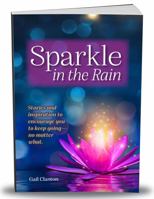 Sparkle In The Rain 0578835088 Book Cover