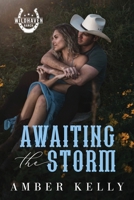 Awaiting the Storm: An Enemies to Lovers, Small Town Romance (The Wildhaven Series) B0FLVS78PN Book Cover