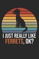 I Just Really Like Ferrets, OK?: DIN A5 Frettchen Notizheft kariert - 120 Seiten kariertes Frettchen Notizbuch f�r Notizen in Schule, Universit�t, Arbeit oder zuhause. - Eine tolles Geschenk f�r Ihre 1671302249 Book Cover