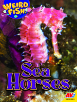 Seahorses 1791142516 Book Cover