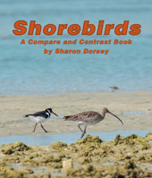 Shorebirds: A Compare and Contrast Book 1638173664 Book Cover