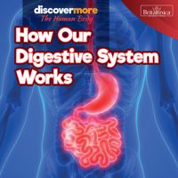 How Our Digestive System Works 1641904399 Book Cover