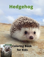 Hedgehog Coloring Book for Kids: Children Activity Book for Boys and Girls Ages 3-8 with Super Cute Hedgehog A Super Cool Gift for Boys and Girls Ages 3-8 - Hedgehog Coloring and Activity Book A Uniqu null Book Cover