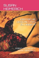 EROTISCHE GESCHICHTEN ZU HEISS (1): PORNO-GESCHICHTEN OHNE GRENZEN (1) B09ZCJHKWN Book Cover