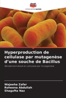Hyperproduction de cellulase par mutagenèse d'une souche de Bacillus 6630512308 Book Cover