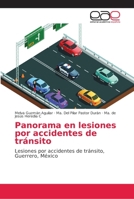 Panorama en lesiones por accidentes de tránsito: Lesiones por accidentes de tránsito, Guerrero, México 6202161248 Book Cover
