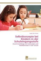 Selbstkonzepte Bei Kindern in Der Schuleingangsstufe 383813382X Book Cover