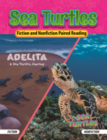 Sea Turtles: Adelita: A Sea Turtles Journey/Sea Turtles B0GN6JM31T Book Cover