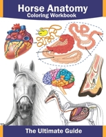 Horse anatomy coloring workbook: Horse anatomy coloring workbook with: horse facts, quizzes, various breeds, horse body and facial language... plus coloring pages, all in one book. B09SP825HN Book Cover