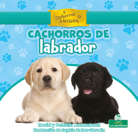 Cachorros de Labrador 1039620019 Book Cover