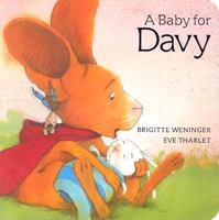 A Baby for Davy (Davy Board Books) 0735817464 Book Cover