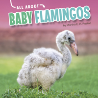 All about Baby Flamingos 1663907870 Book Cover