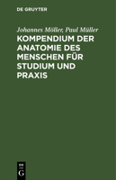 Kompendium Der Anatomie Des Menschen Fur Studium Und Praxis 3112347072 Book Cover