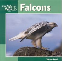 Falcons (Our Wild World) 1559719125 Book Cover