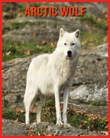 Arctic wolf: Childrens Book Amazing Facts & Pictures about Arctic wolf B08W7SNKYY Book Cover
