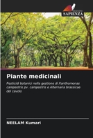 Piante medicinali: Pesticidi botanici nella gestione di Xanthomonas campestris pv. campestris e Alternaria brassicae del cavolo 6205894777 Book Cover