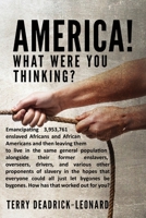 America! What Were You Thinking?: Emancipating 3,953,761 enslaved Africans and African Americans and then leaving them to live in the same general population alongside their former enslavers, overseer 0578795949 Book Cover