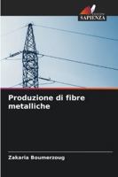 Produzione di fibre metalliche (Italian Edition) 6208776074 Book Cover