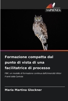 Formazione compatta dal punto di vista di una facilitatrice di processo (Italian Edition) 620972910X Book Cover