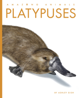 Platypuses (Amazing Animals) B0FBR2Z9FJ Book Cover