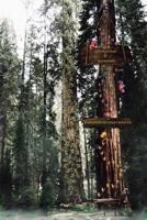 Añoranzas E Ilusiones 1492770841 Book Cover