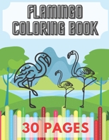 Flamingo Coloring Book: Gifts For Kids, Boys or Adults Relaxation. 30 Coloring Pages - Flamingos and More! B08ZQD1FWH Book Cover