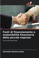 Fonti di finanziamento e sostenibilità finanziaria delle piccole imprese 6207302788 Book Cover