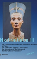 Nofretete / Nefertiti / Echnaton: Das Trojanische Pferd war ein Raumschiff / Nofretete ist Moses / Auszug aus Ägypten / Das Hologramm in der Wüste (German Edition) 3384529618 Book Cover