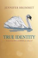 True Identity 0615796141 Book Cover