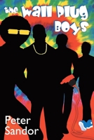 The Wall Plug Boys 0991795423 Book Cover