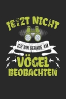 Jetzt Nicht Ich Bin Gerade Am V�gel Beobachten: Din A5 Heft Kariert (Karos) F�r Jeden Bird Watcher Notizbuch Tagebuch Planer Vogelbeobachtung Notiz Buch Geschenk V�gel Beobachten Vogel Notebook 1678919454 Book Cover