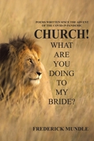 CHURCH! WHAT ARE YOU DOING TO MY BRIDE? 166416085X Book Cover