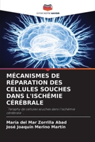 Mécanismes de Réparation Des Cellules Souches Dans l'Ischémie Cérébrale 6205579650 Book Cover