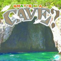 What's in a Cave? 1615902783 Book Cover