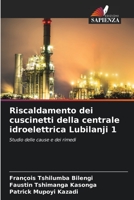 Riscaldamento dei cuscinetti della centrale idroelettrica Lubilanji 1: Studio delle cause e dei rimedi (Italian Edition) B0CLFVK9WF Book Cover