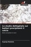 Lo studio dettagliato sui batteri precipitanti il calcio: Batteri precipitatori di calcio 6204847457 Book Cover