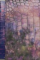 RaphaEl Barontini Soukhos /franCais 2492175022 Book Cover