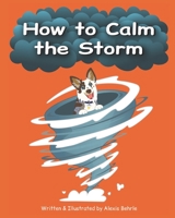 How to Calm the Storm B0C9SLYPRS Book Cover