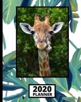 2020 Planner: Giraffe 1-Year Daily, Weekly and Monthly Organizer With Calendar, Gifts For Giraffe Lovers, Women, Men, Adults and Kids (8 x 10) 1673607071 Book Cover