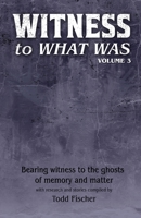 WITNESS to What Was: Volume 3 B0GY86CQRN Book Cover
