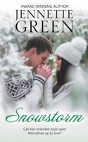 Snowstorm 1629640255 Book Cover