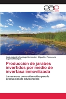 Producción de jarabes invertidos por medio de invertasa inmovilizada 6202141379 Book Cover