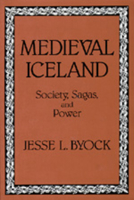 Medieval Iceland: Society, Sagas, and Power 0520069544 Book Cover
