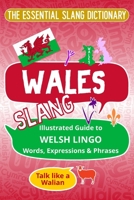 WALES The Essential Slang Dictionary: Illustrated guide to Welsh lingo words, expressions & phrases. Talk like a Walian B0FWMKJY81 Book Cover