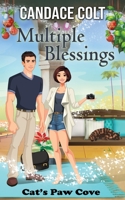 Multiple Blessings B09B14Q5VG Book Cover