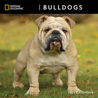 National Geographic Bulldogs 2021 Wall Calendar 1772185132 Book Cover