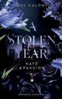 A Stolen Year: Hate & Passion 3695161116 Book Cover