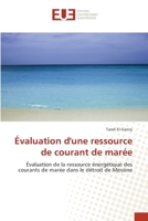 Évaluation d'une ressource de courant de marée: Évaluation de la ressource énergétique des courants de marée dans le détroit de Messine 6139534402 Book Cover